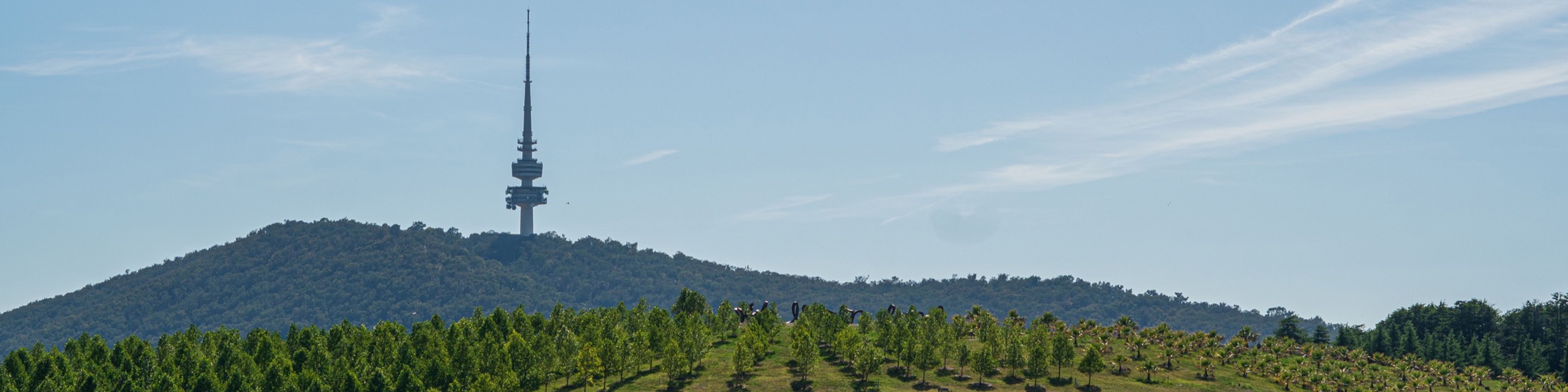 Black Mountain and Telstra Tower beyond the National Arboretum Canberra